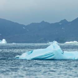 More icebergs … as we leave South Georgia Island.