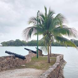 Und verteidigt werden wir auch!