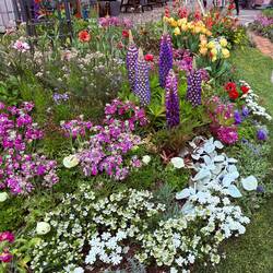 Sweet spring garden at the top of Mt. Rokko