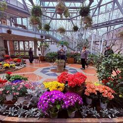 Inside the Glass Houses