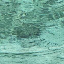 Ok, man kann sie nicht erkennen, aber das ist unsere erste Schildkröte ❤️