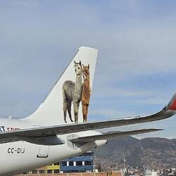 lustig bemalte Flieger in Cusco
