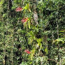 50 Shades of green und ein bisschen rot