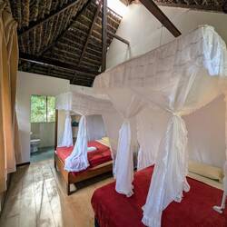 Mein Zimmer (1 Bett ist noch frei 😉)