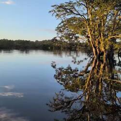 Ausfahrt zum Schwimmen