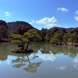 Even the reflection is tranquil.