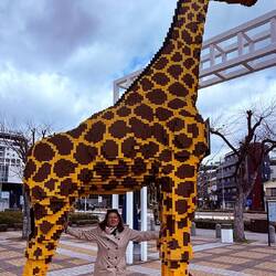 The inspiration for my artwork