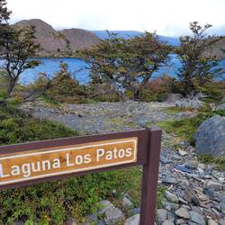 Laguna Los Patos