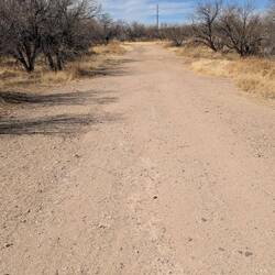 No shade here either. Last year the trail had flowers on both sides. This year nothing.