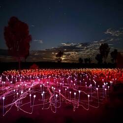The field of lights