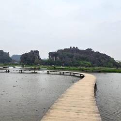 Lotus field, not the right season for them to be in bloom