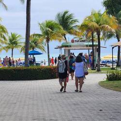 Harvest Caye
