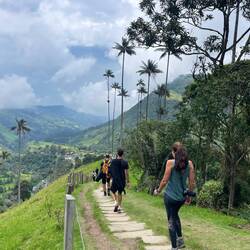 El valle del Cócora