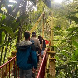 Jardín Botánico del Quindío