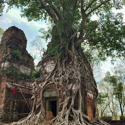 This looks like a good place to grow.