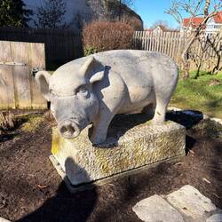 Allora, G’sell, così