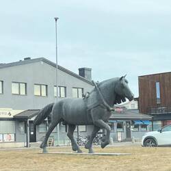 Hamar