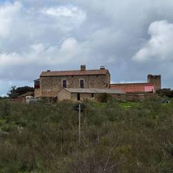 Abandoned farm