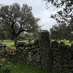Roman milestone #1