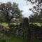 Roman milestone #1
