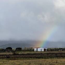 Rainbow over laying hens