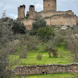 Castle at abandoned farm with many storks