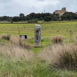Roman milestone #3