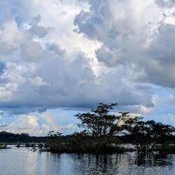 Abendblick mit Regenbogen