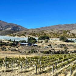 Kinross winery