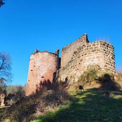 Ruine Neudahn