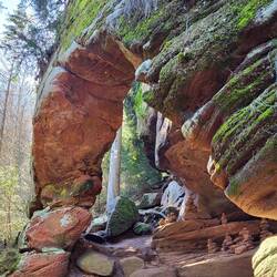 Das ist der Pfälzer Wald.