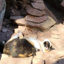 Leni räumt bei den Steinmännchen auf.