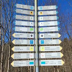 Da fällt die Entscheidung schwer.