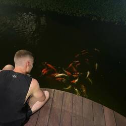 Het jede en eigni Plattform gha und hesch gratis Fischfuetter becho zum Fisch füettere ☺️