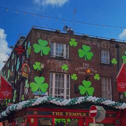 Temple Bar und Temple Viertel erkundet
