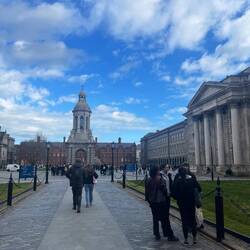 Trinity Collage