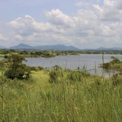 Die Straße bleibt den ganzen Tag unfassbar vielseitig...