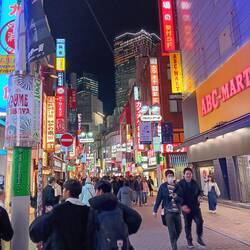 Shibuya Scramble - certainly scrambled my brain trying to navigate