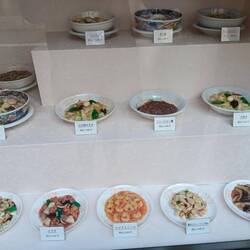 There are shops selling the plastic plates of food for restaurants to display