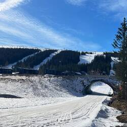 Langlaufloipe im Vordergrund