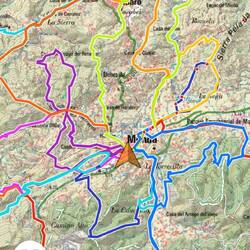 Lots of trails to choose from around Monda!