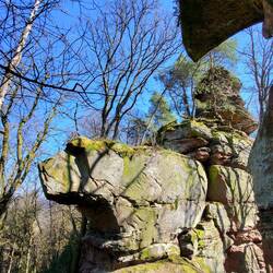 Wen haben wir denn hier?