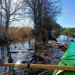 Ende im Gelände bei Münchhausen