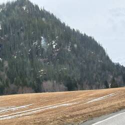 ... dann war der Schnee auf einmal weg! wir vermissen ihn 😔