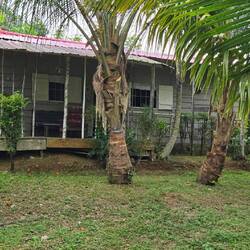 Heikos Guesthouse in Sant Jose, mitten im Urwald