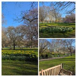 The Jubilee Walkway - 14 miles, Center of London, many historical buildings and views.