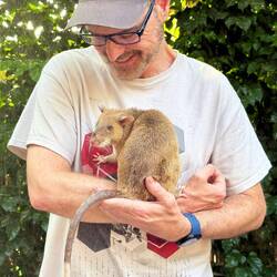 My beloved HeroRAT.