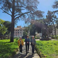 3 Grazien im Park