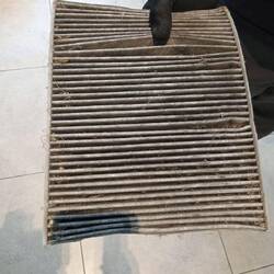 Für das naturhistorische Museum