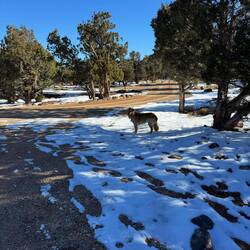 The day after the snow it was already melting away.